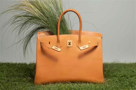 birkin da hermès